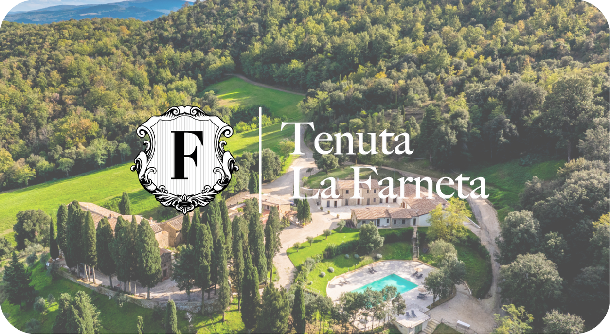 TTG-AI-RECEPTIONIST-HOTEL-ita-6